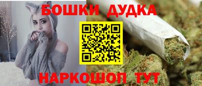 гидра Кингисепп