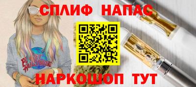 гидра Кингисепп