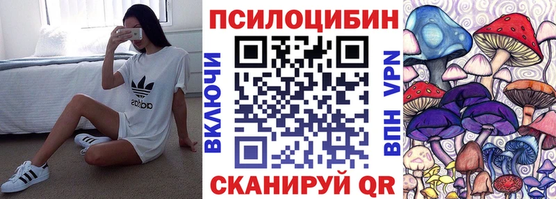 закладки  Новокубанск  Псилоцибиновые грибы Cubensis 