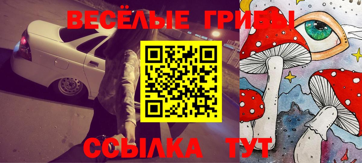дарнет шоп  Вход с VPN  Новокубанск  Псилоцибиновые грибы MAGIC MUSHROOMS 